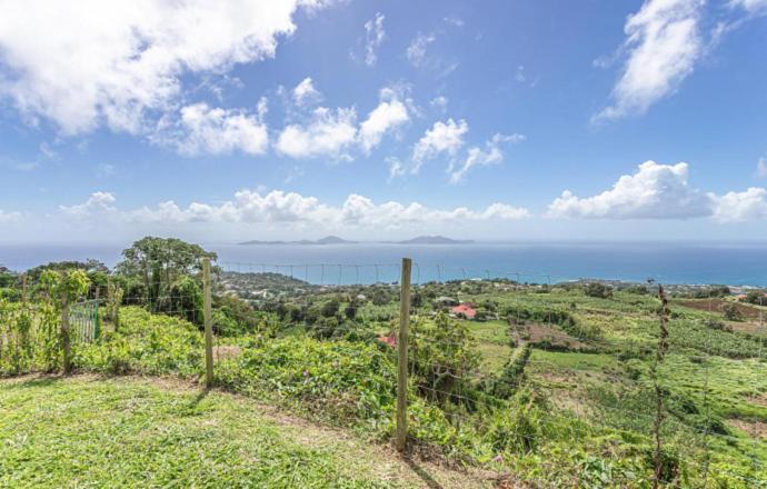 L'Ilot Fruits Guadeloupe Villa Trois-Rivieres Ngoại thất bức ảnh